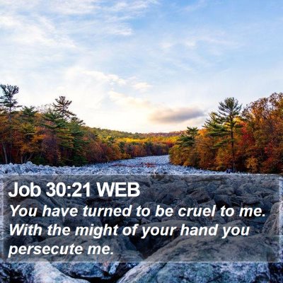 Job 30:21 WEB Bible Verse Image