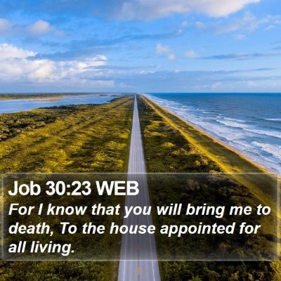 Job 30:23 WEB Bible Verse Image