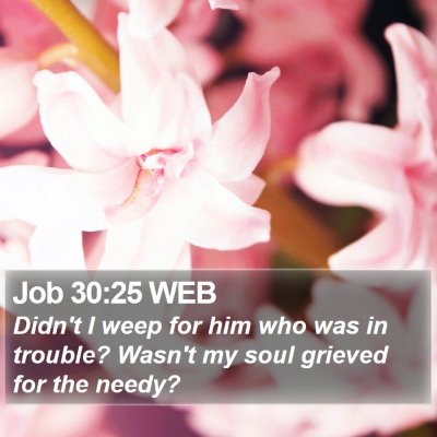 Job 30:25 WEB Bible Verse Image