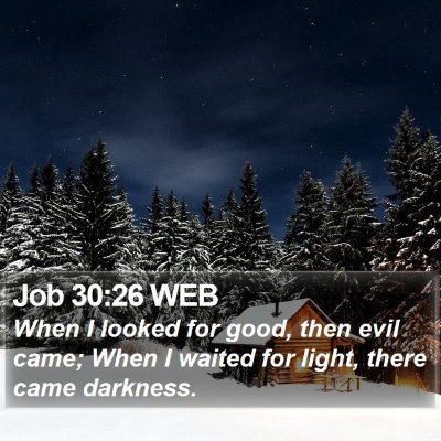 Job 30:26 WEB Bible Verse Image