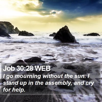 Job 30:28 WEB Bible Verse Image