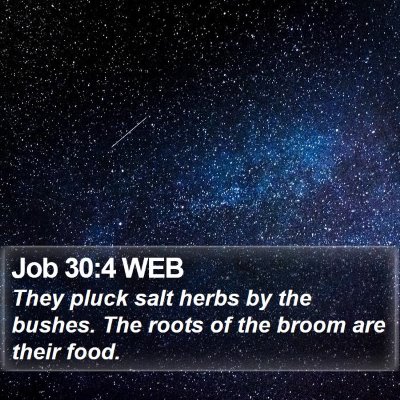 Job 30:4 WEB Bible Verse Image