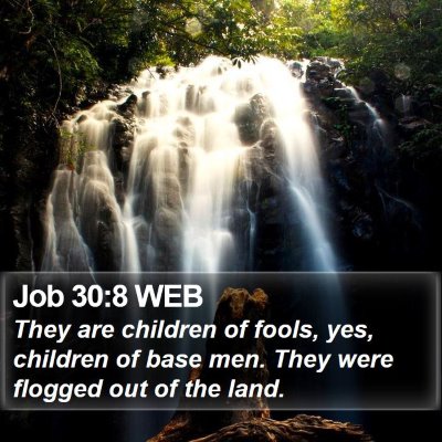 Job 30:8 WEB Bible Verse Image