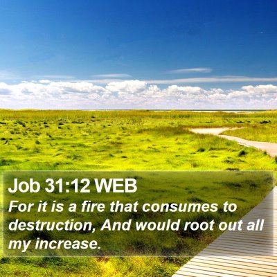 Job 31:12 WEB Bible Verse Image