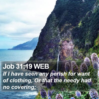 Job 31:19 WEB Bible Verse Image