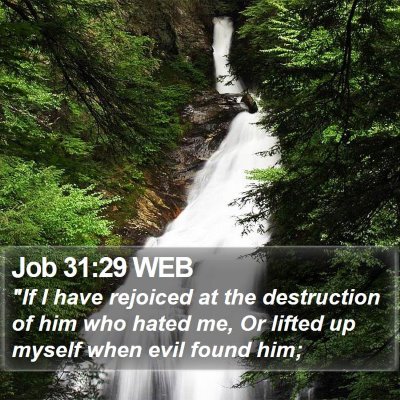 Job 31:29 WEB Bible Verse Image