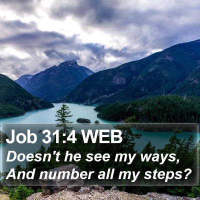 Job 31:4 WEB Bible Verse Image