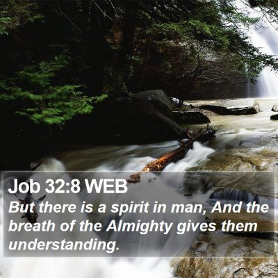 Job 32:8 WEB Bible Verse Image