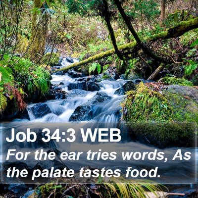 Job 34:3 WEB Bible Verse Image
