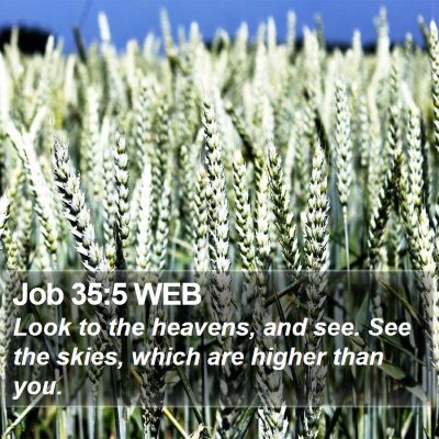 Job 35:5 WEB Bible Verse Image