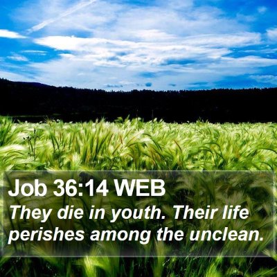 Job 36:14 WEB Bible Verse Image