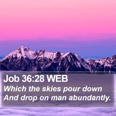 Job 36:28 WEB Bible Verse Image