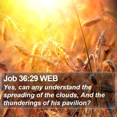 Job 36:29 WEB Bible Verse Image