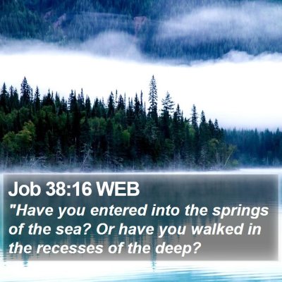 Job 38:16 WEB Bible Verse Image