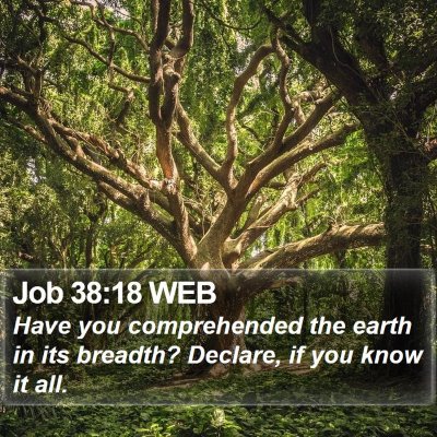 Job 38:18 WEB Bible Verse Image