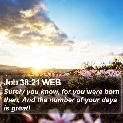 Job 38:21 WEB Bible Verse Image
