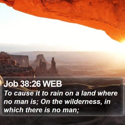 Job 38:26 WEB Bible Verse Image