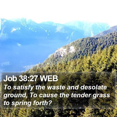 Job 38:27 WEB Bible Verse Image