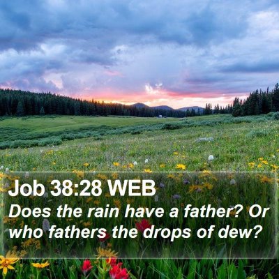 Job 38:28 WEB Bible Verse Image