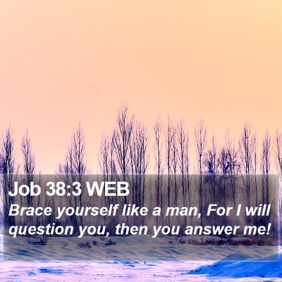 Job 38:3 WEB Bible Verse Image