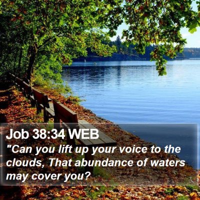 Job 38:34 WEB Bible Verse Image