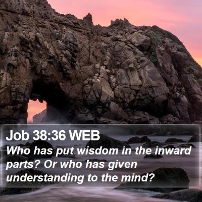 Job 38:36 WEB Bible Verse Image