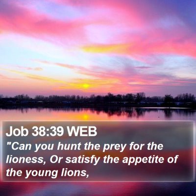 Job 38:39 WEB Bible Verse Image