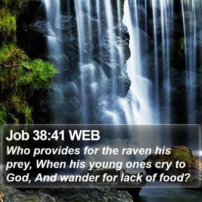 Job 38:41 WEB Bible Verse Image