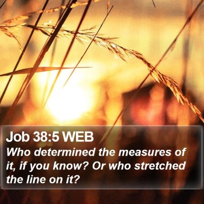 Job 38:5 WEB Bible Verse Image