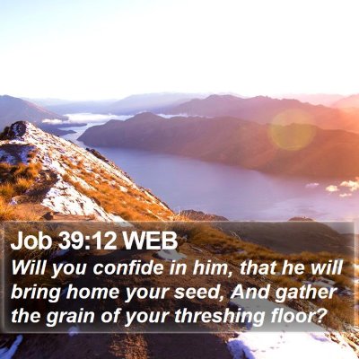 Job 39:12 WEB Bible Verse Image