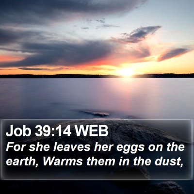 Job 39:14 WEB Bible Verse Image