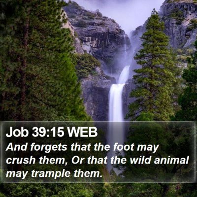 Job 39:15 WEB Bible Verse Image