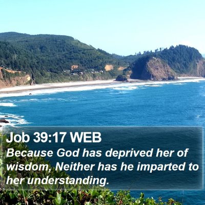 Job 39:17 WEB Bible Verse Image