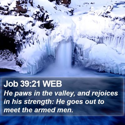 Job 39:21 WEB Bible Verse Image