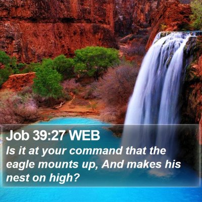 Job 39:27 WEB Bible Verse Image
