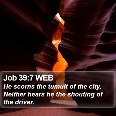 Job 39:7 WEB Bible Verse Image
