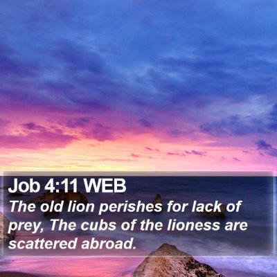 Job 4:11 WEB Bible Verse Image