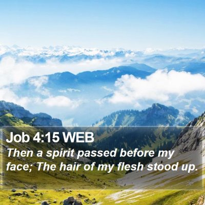 Job 4:15 WEB Bible Verse Image
