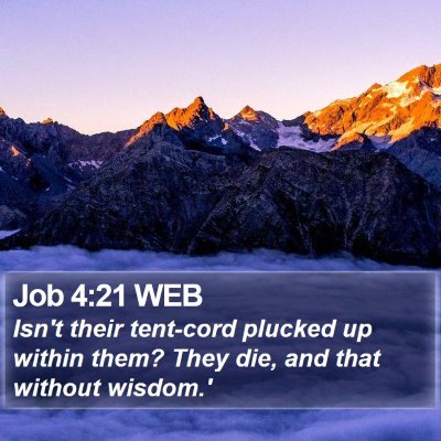 Job 4:21 WEB Bible Verse Image