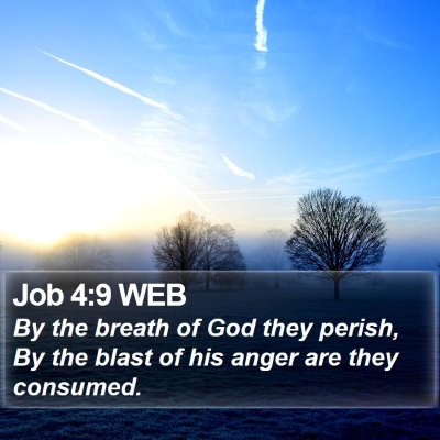 Job 4:9 WEB Bible Verse Image