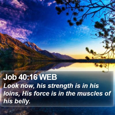 Job 40:16 WEB Bible Verse Image
