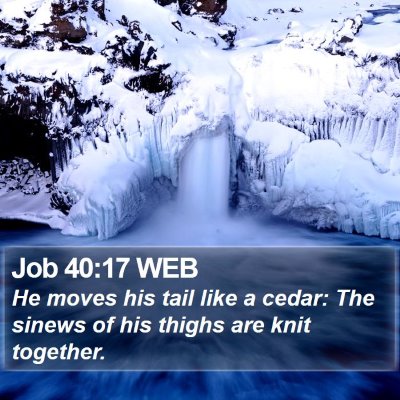 Job 40:17 WEB Bible Verse Image