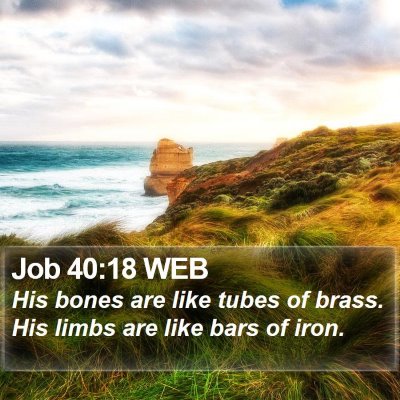 Job 40:18 WEB Bible Verse Image