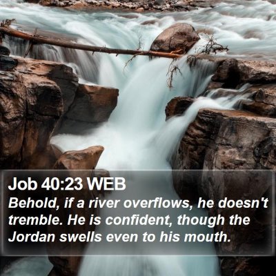 Job 40:23 WEB Bible Verse Image