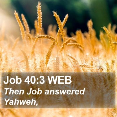 Job 40:3 WEB Bible Verse Image
