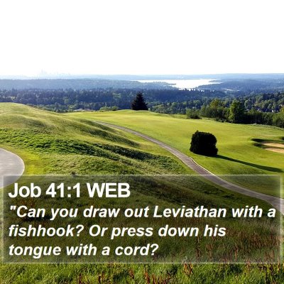 Job 41:1 WEB Bible Verse Image