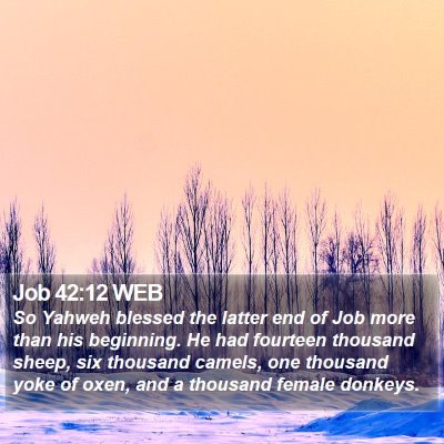 Job 42:12 WEB Bible Verse Image