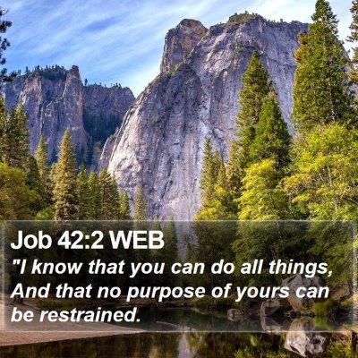 Job 42:2 WEB Bible Verse Image