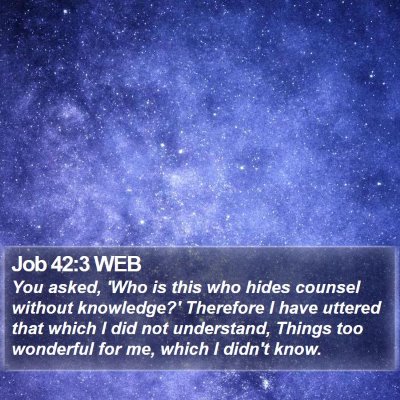 Job 42:3 WEB Bible Verse Image