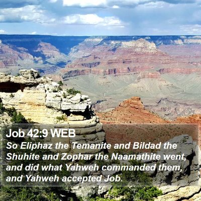 Job 42:9 WEB Bible Verse Image